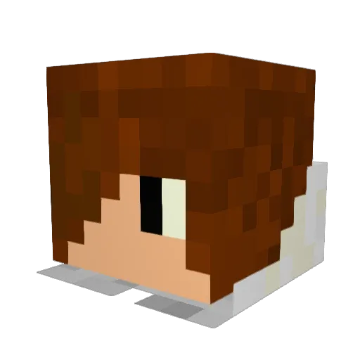 mimis2209 Minecraft avatar head, 3D render