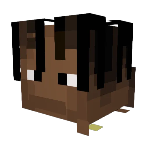 mimis22 Minecraft avatar head, 3D render