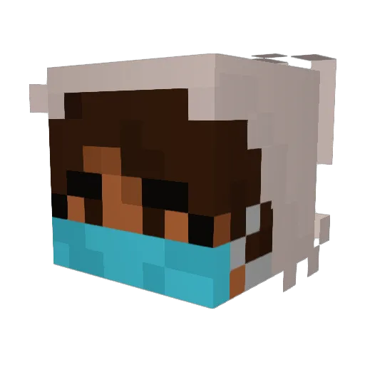 mimitimi7 Minecraft avatar head, 3D render