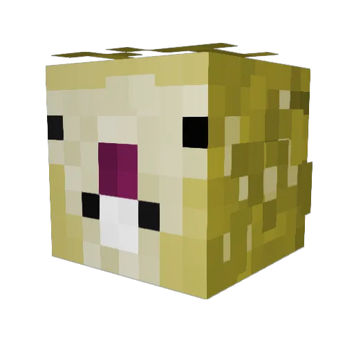 mimo2jr Minecraft avatar head, 3D render