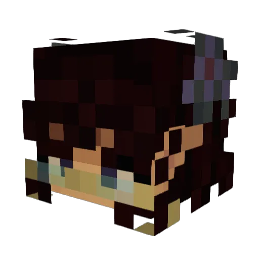 min_minnow Minecraft avatar head, 3D render