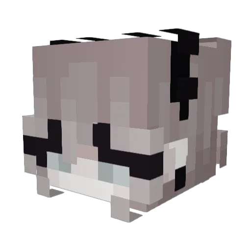 mina_emilia Minecraft avatar head, 3D render