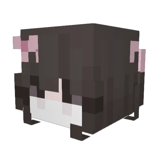 minaaaaaaaaaaaa Minecraft avatar head, 3D render