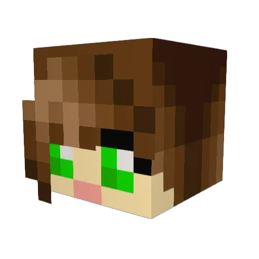 minacraft1110 Minecraft avatar head, 3D render