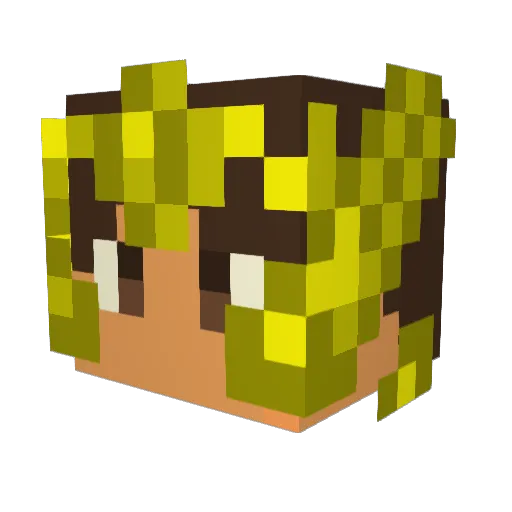 minaji007 Minecraft avatar head, 3D render