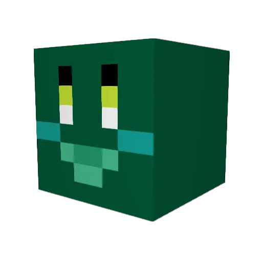 mincastle0726 Minecraft avatar head, 3D render