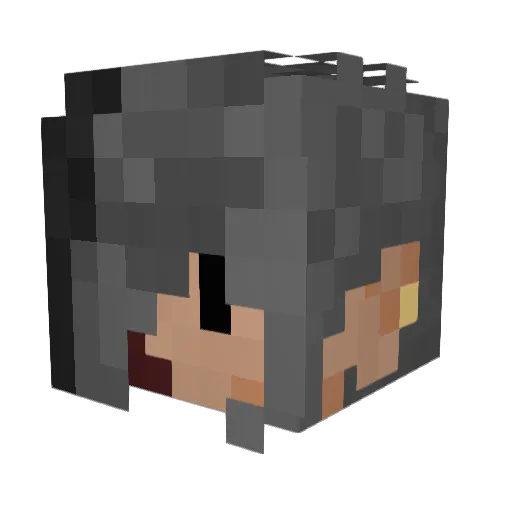 mincedjunk Minecraft avatar head, 3D render