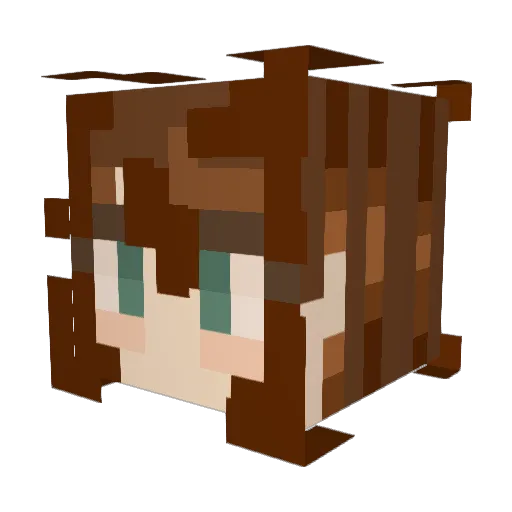 mincedmeate Minecraft avatar head, 3D render