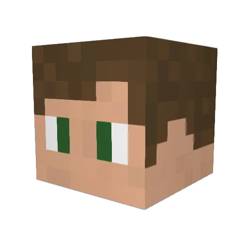 minceraft9586 Minecraft avatar head, 3D render