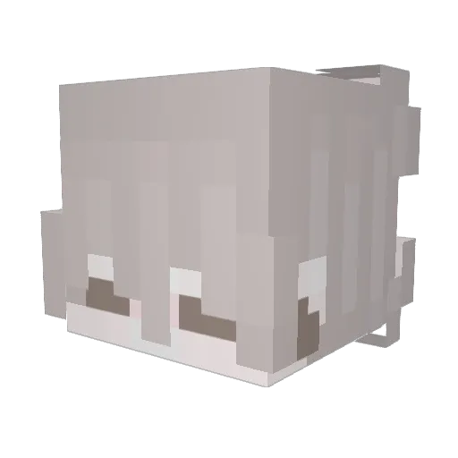 mine_poplol Minecraft avatar head, 3D render
