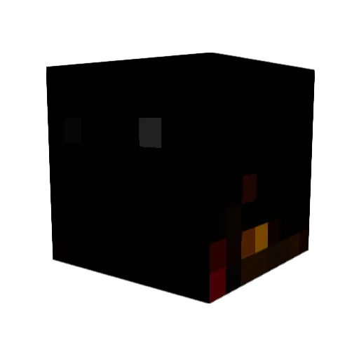 mine_turtle213 Minecraft avatar head, 3D render