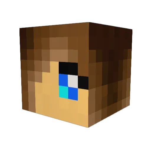 minecat1017 Minecraft avatar head, 3D render