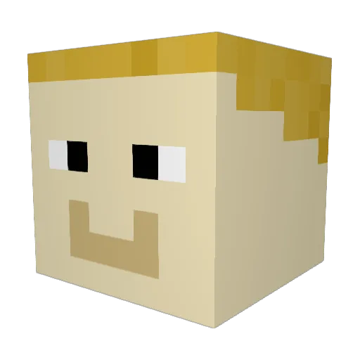 minecraftTom256 Minecraft avatar head, 3D render