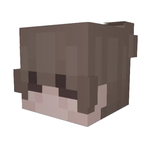 minecraft_eu Minecraft avatar head, 3D render
