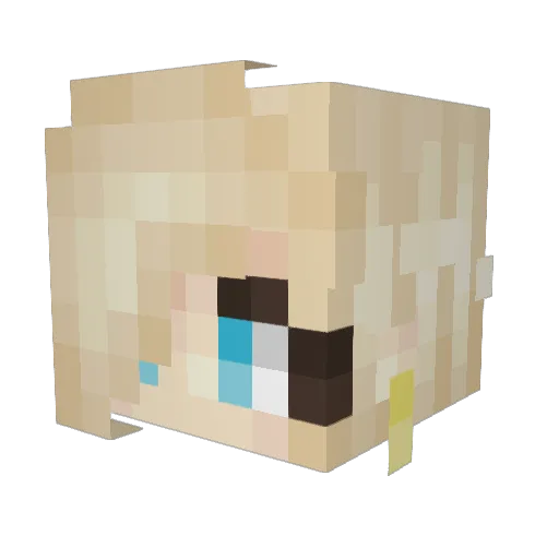 minecraft_haver_ Minecraft avatar head, 3D render
