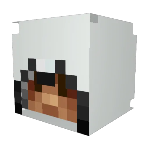 minecraft_ray Minecraft avatar head, 3D render