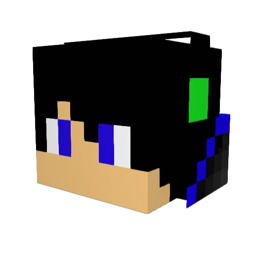 minecraftadam123 Minecraft avatar head, 3D render