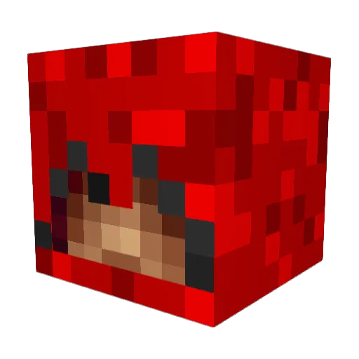 minecraftborder Minecraft avatar head, 3D render