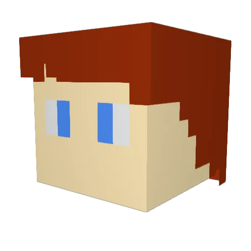 minecraftbros444 Minecraft avatar head, 3D render