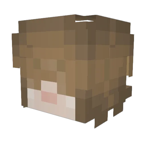 minecrafter21 Minecraft avatar head, 3D render