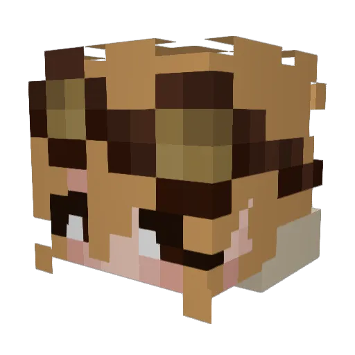 minecraftfan20 Minecraft avatar head, 3D render