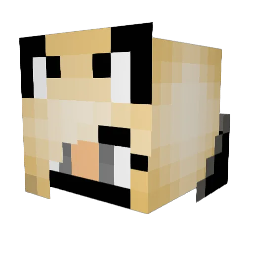 minecraftgirl91 Minecraft avatar head, 3D render