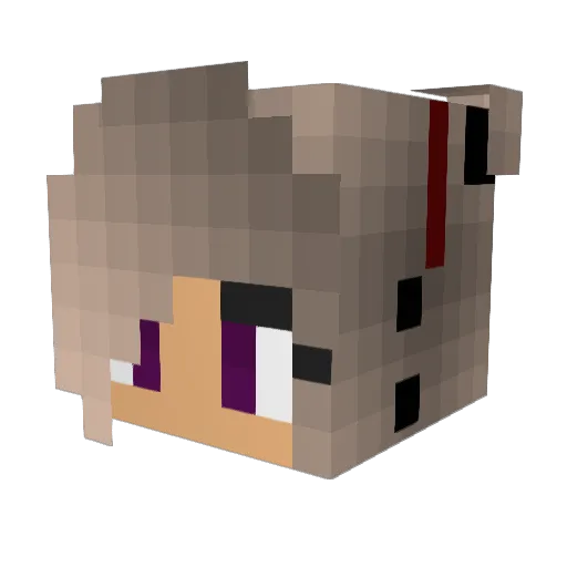 minecraftienne Minecraft avatar head, 3D render
