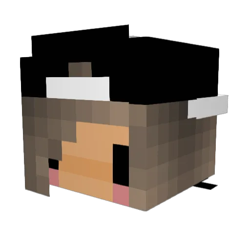 minecraftlozz Minecraft avatar head, 3D render