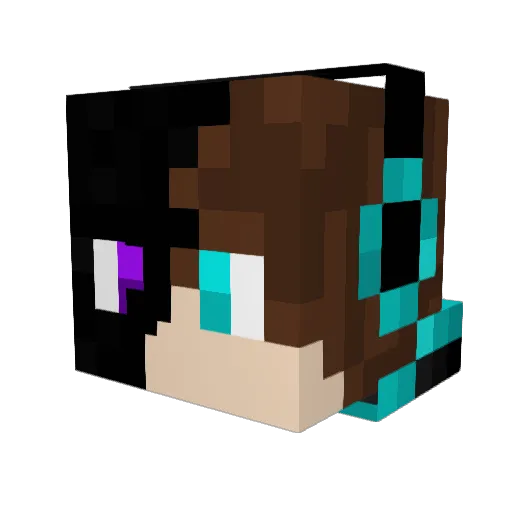 minecrafttwins Minecraft avatar head, 3D render