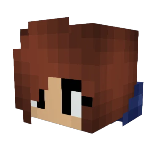 minecraftwonka Minecraft avatar head, 3D render