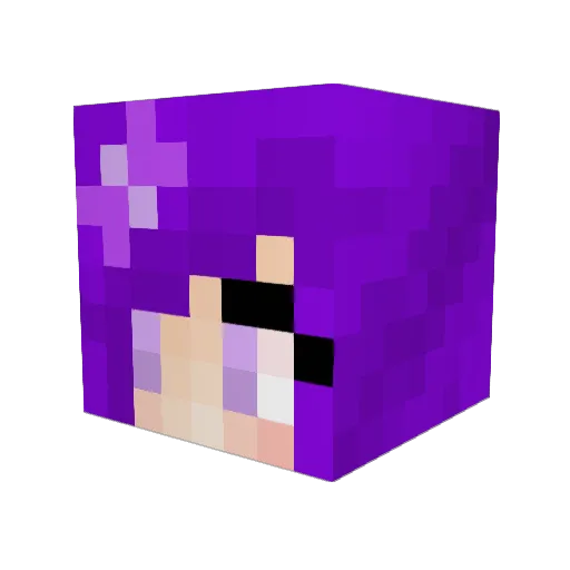 minefinantic Minecraft avatar head, 3D render