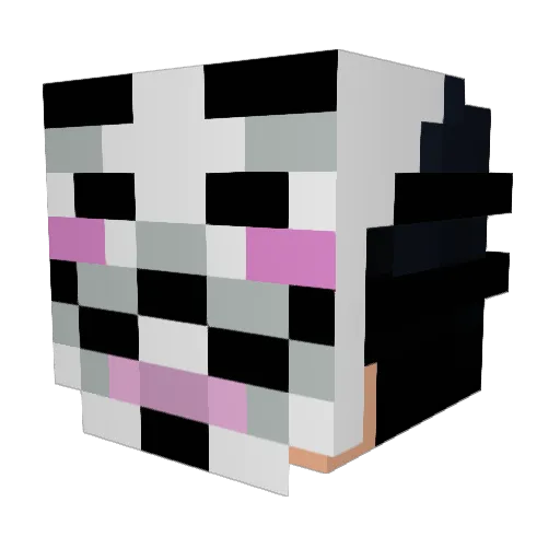 mineguy8112 Minecraft avatar head, 3D render