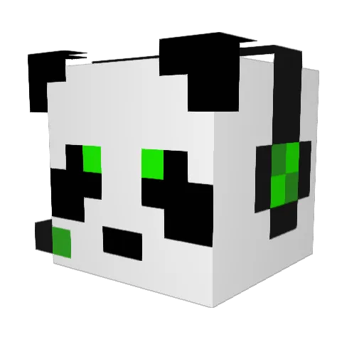 mineking204 Minecraft avatar head, 3D render