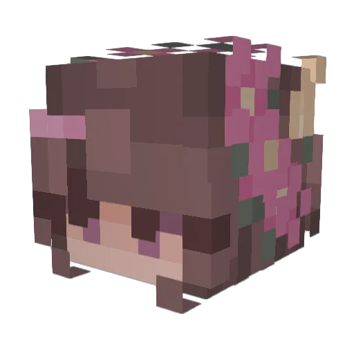 mineloon Minecraft avatar head, 3D render