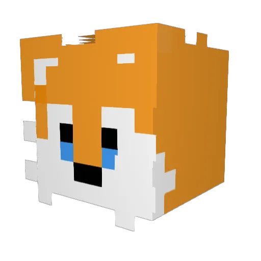 minemaxwilde2 Minecraft avatar head, 3D render