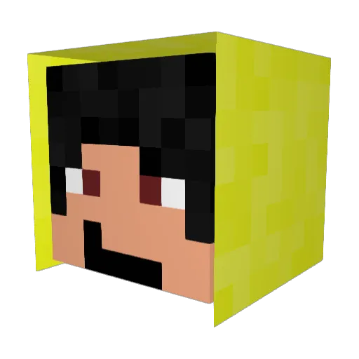 minenite08 Minecraft avatar head, 3D render