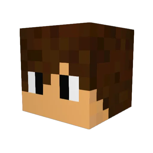 miner102030 Minecraft avatar head, 3D render