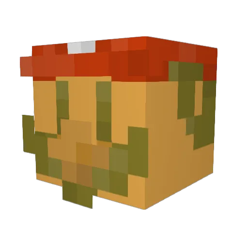miner6t9er Minecraft avatar head, 3D render