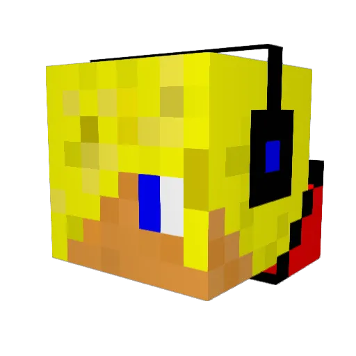 miner9243 Minecraft avatar head, 3D render