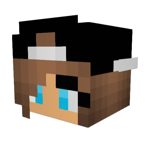miner_for_life_ Minecraft avatar head, 3D render