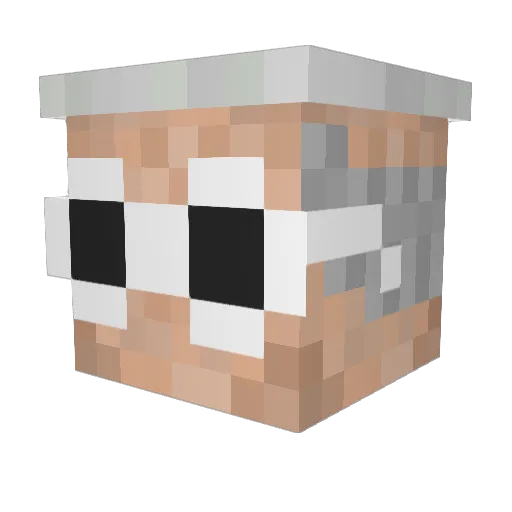 miner_lordjames Minecraft avatar head, 3D render