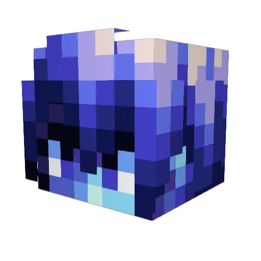 minerboy767 Minecraft avatar head, 3D render
