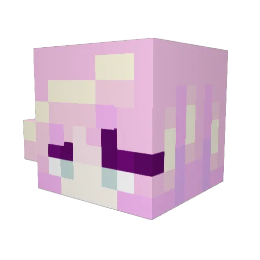 minerman1324 Minecraft avatar head, 3D render