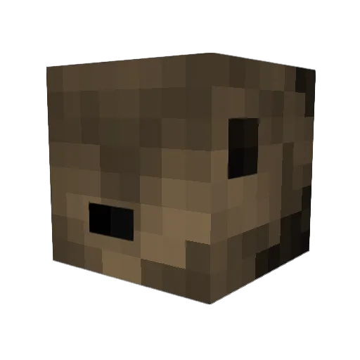 minerofgoods53 Minecraft avatar head, 3D render
