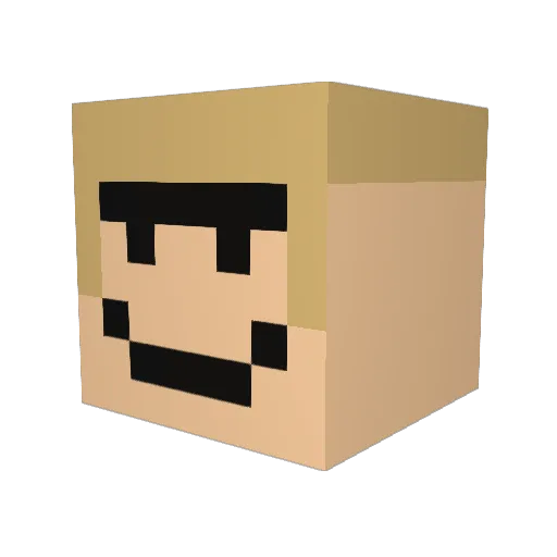 minerp17 Minecraft avatar head, 3D render