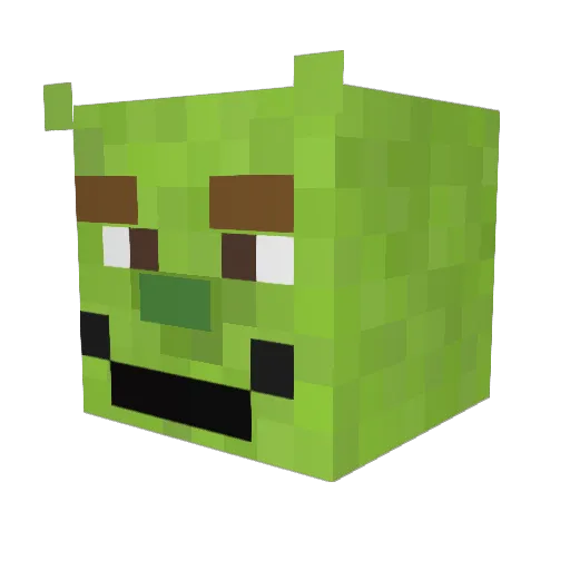minerz0204 Minecraft avatar head, 3D render