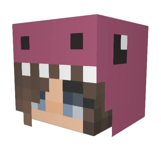 mineseis Minecraft avatar head, 3D render