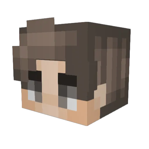 mineslayer24 Minecraft avatar head, 3D render