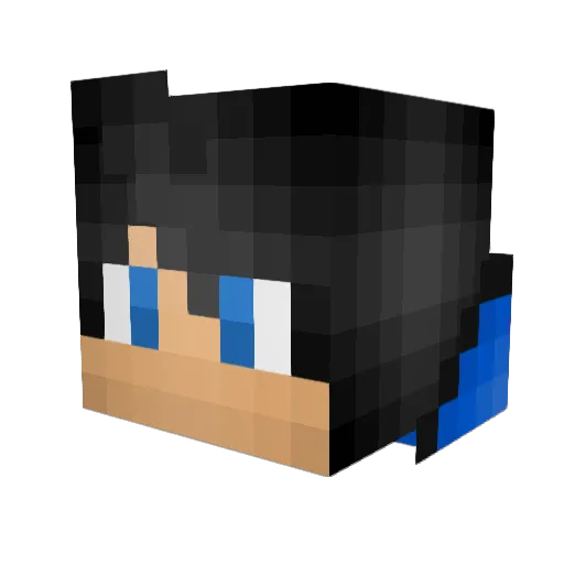 minetaro12 Minecraft avatar head, 3D render