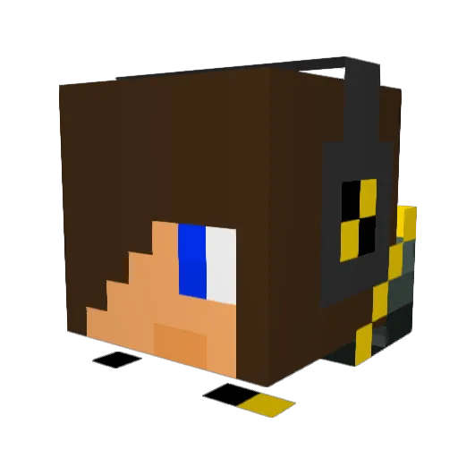 minetrollz7 Minecraft avatar head, 3D render
